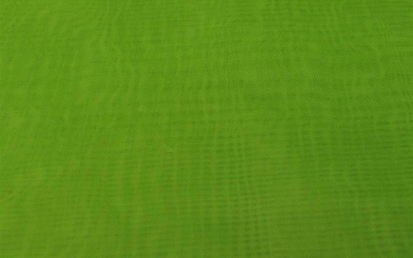 Sheer Fabric Green Kiwi